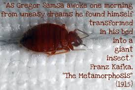 "As Gregor SAMOSA awoke one morning from uneasy dreams, HE found that he was very delicious, but that his bedsheets were somewhat greasy"